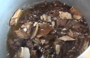 Рецепты приготовления грибов лисичек